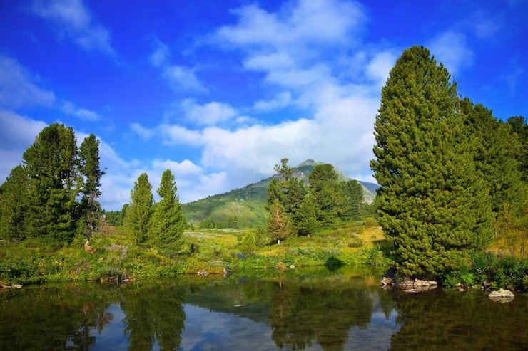 Countryside view